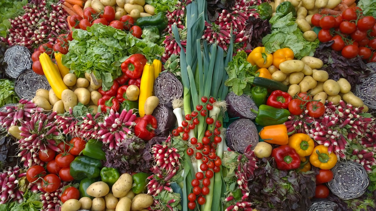 Plant-based protein sources and alternatives